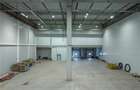 Spatiu Industrial - 10000 mp - Logistica - Productie - Depozitare - 3