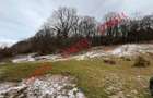 Teren intravilan de vanzare in Chiurus! - 1