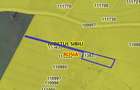 Teren agricol extravilan de 2900 mp, în Nucet - 1
