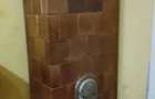 Vand apartament central - 5