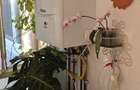 Apartament 3 camere decomandat Rovine - 6