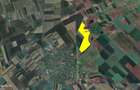 103 ha teren arabil compact, loc. Biled, jud. Timis - 2