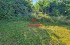 Casa in Poiana Campina--34.000e - 5