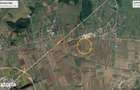 Teren extravilan 32.5 ha - Brasov - Prejmer - 3