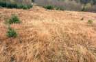 Vand teren Com Ciocanesti , sat Botos ,jud. Suceava