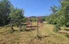 Teren intravilan de vanzare 3375 mp in Brebu
