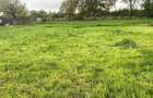 Vand teren intravilan, 1500m - 32m cu 50m, localitarea Baltita, Prahova - 7