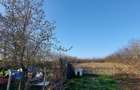 Vand casa si teren 10.000 mp-pret negociabil - 8