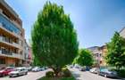 Domenii - Apartament in vila, cu garaj, 4 locuri de parcare, curte - 20