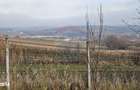 Teren extravilan 10,791mp Falticeni / Strada DJ209A, Opriseni