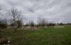 Teren intravilan, 3515 mp, zona Crevedia - 13