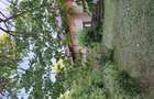 Teren 7200mp si gospodarie ?araneasca,centru, loc.Galbeni , com Filipesti Bacau. - 1
