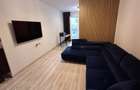 Inchiriere apartament cu 2 camere, mutare rapida, zona Grand Arena - 13