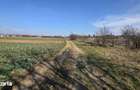 Casa cu Teren Generos. De Locuit sau Afacere. Ro?iori Bihor (DN19) - 4