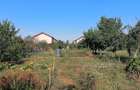 De vanzare casa in localitatea Covaci - Jud. Timis - 7