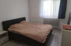 Apartament 1 camera Metalurgie Profi Cod 162383 - 2