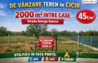 Teren de vinzare in Cicir - 1