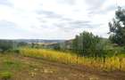 Teren 8840 mp intravilan, la strada asfaltata, Uricani - Uricani (Iasi) - 1