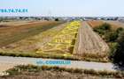 Teren in zona de intrare a comunei Berceni - 4