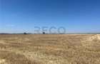 RECO Teren extravilan Ucuris- Olcea 44 000 mp - 1