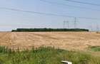 20 Ha Padure stejar la 10 km de Pitesti
