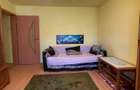 VANZARE apartament cu o camera - zona Blascovici - 14