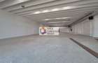 Spatiu comercial - 500 mp - 3