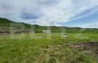 Hala, 230mp , zona Sud - 1