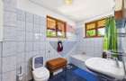 Vila cu 8 camere de vanzare, piscina, livada, iesire la Balta Pasarea