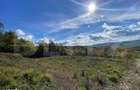 Teren 10 ari, Valea Budacului priveliste superba, zona de cabane - 3
