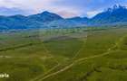 Teren 1ha, extravilan Rasnov / Agricultura sau ferma/ COMISION 0% - 9