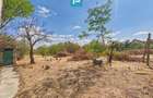 Casa cu poten?ial ?i teren 1.440 mp - Santana