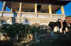 Imobiliare - casa veche cu pamant - 6