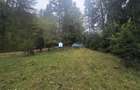 Teren intravilan Poiana Brasov