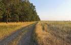 Vand teren agricol, 2ha, comuna Tamna, sat Colaret, MH - 3