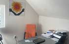 Studio Detailing & Cosmetizari Auto- Inchiriere afacere la cheie - 5