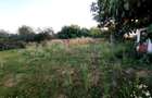 CASA DE VANZARE | 1.483 MP TEREN | ARICE?TII RAHTIVANI | 55.000 euro - 7