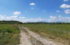 Teren agricol extravilan Podu Oltului la limita UAT Harman si UAT Prejmer (Lunca Calnicului) 2 euro mp - 3