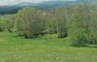 Teren de 45000 mp, în Ortoaia - 4