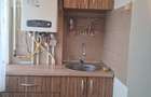 Proprietar Inchiriez aparatament 2 camere zona Lapus Arges - 2