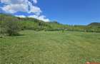 EXCEPTIONAL,Teren 5.370mp, Poiana Sarata - 1