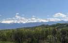 Teren panoramic 5.800 mp, acces la drum, vedere Mun?ii Retezat, Ciula Mare