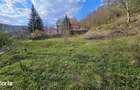 BREBU intravilan 1800 mp, deschidere 29 ml, doar 16.900 - 10