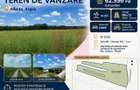 Teren 6,26 ha langa DEx12 Pitesti - 1