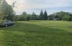 Casă cu Teren 4000 Mp în Dămieni - 3