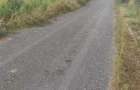 Teren intravilan la balta Odoreu, Satu Mare - 4