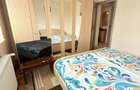 Apartament 2 Camere Micalaca Zona 300 - 13