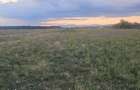 Teren intravilan de vanzare- Sat Strejnicu, Jud. Prahova - 4