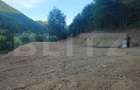 Teren de vanzare, 10.000 mp - Bistrita Bargaului, zona turistica - 4
