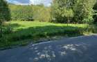 Vand teren intravilan in Beznea , Bratca - 10